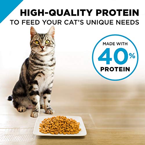 Purina Pro Plan Focus Adult Indoor Care Salmon & Rice Formula - 7lb