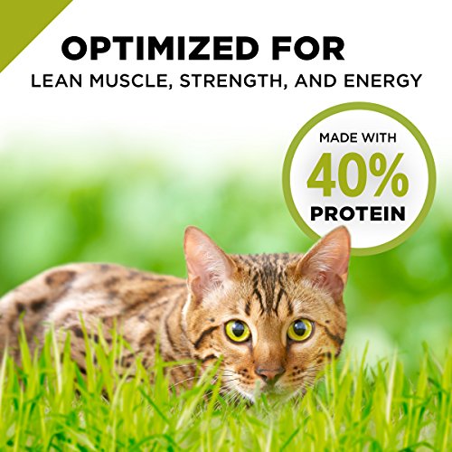 Purina Pro Plan Grain Free, High Protein, Natural Dry Cat Food, C...
