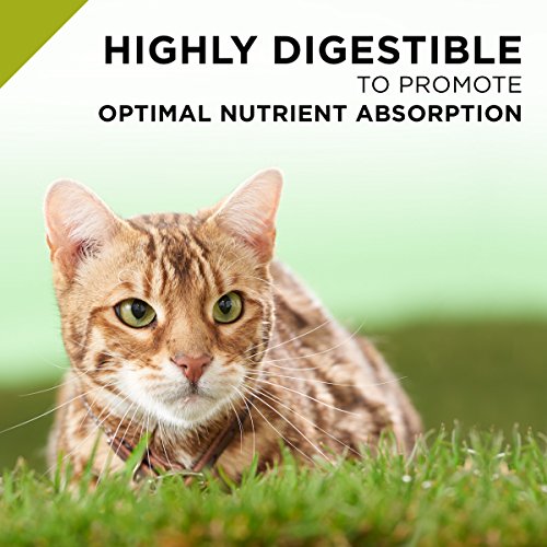 Purina Pro Plan Grain Free, High Protein, Natural Dry Cat Food, C...