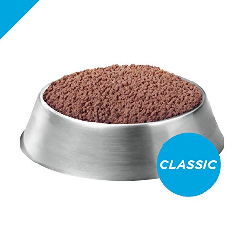 Purina Pro Plan Grain Free, High Protein Wet Puppy Food, FOCUS Cl...