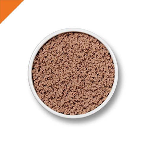 Purina Pro Plan Grain Free Pate Wet Cat Food, Seafood Entree - 2...