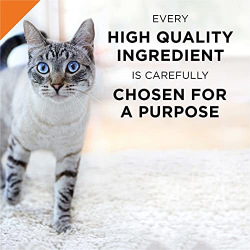 Purina Pro Plan Grain Free Pate Wet Cat Food, Seafood Entree - 2...