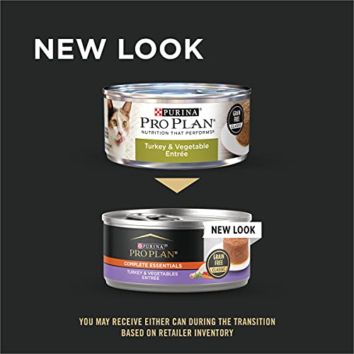 Purina Pro Plan Grain Free Pate Wet Cat Food, Turkey & Vegetable ...