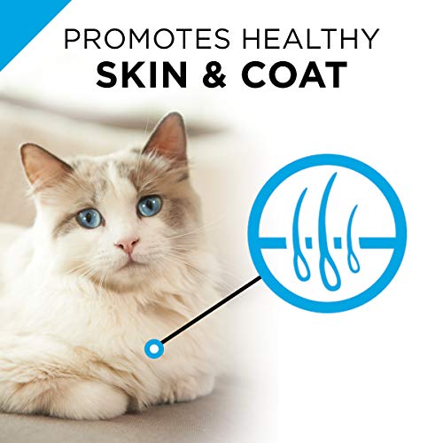 Purina Pro Plan Grain Free Wet Cat Food Pate, Sensitive Skin & St...