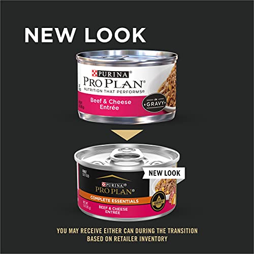 Purina Pro Plan Gravy Wet Cat Food, Beef & Cheese Entree - 24 3...
