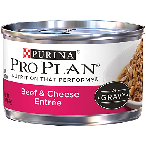 Purina Pro Plan Gravy Wet Cat Food, Beef & Cheese Entree - 24 3...