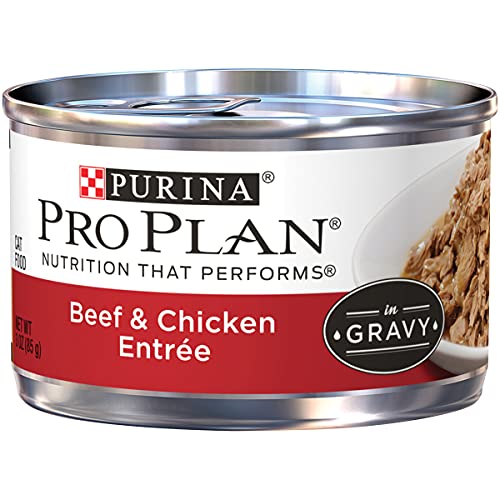 Purina Pro Plan Gravy Wet Cat Food, Beef & Chicken Entree - 24 ...