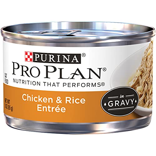 Purina Pro Plan Gravy Wet Cat Food, Chicken & Rice Entree - 24 ...