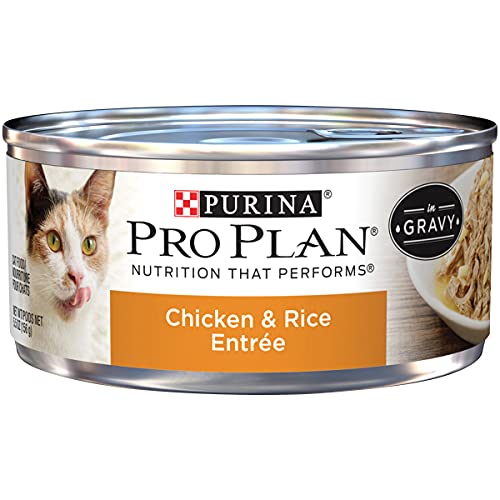 Purina Pro Plan Gravy Wet Cat Food, Chicken & Rice Entree - 24 ...
