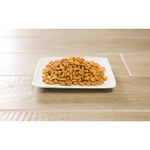 Purina Pro Plan Hairball, Healthy Weight, Indoor Dry Cat Food, FO...