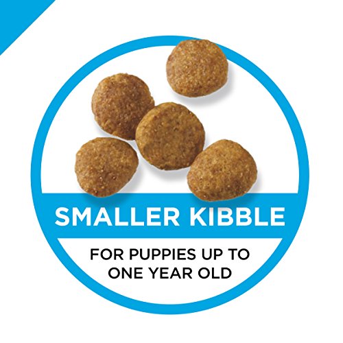 Purina Pro Plan High Protein Dry Puppy Food, Chicken & Rice Formu...