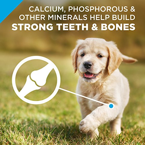 Purina Pro Plan High Protein Dry Puppy Food, Chicken & Rice Formu...