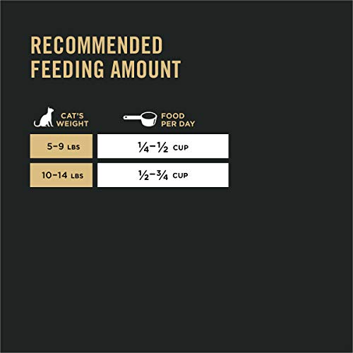 Purina Pro Plan High Protein Sensitive Skin & Stomach Dry Cat Foo...