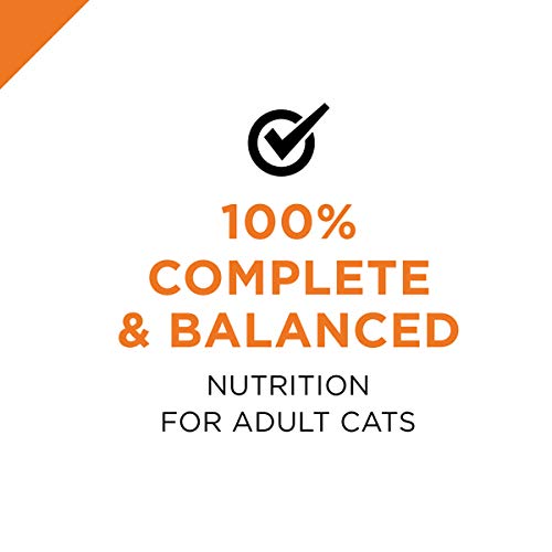 Purina Pro Plan Pate Wet Cat Food, Chunky Chicken Entree - 24 3...