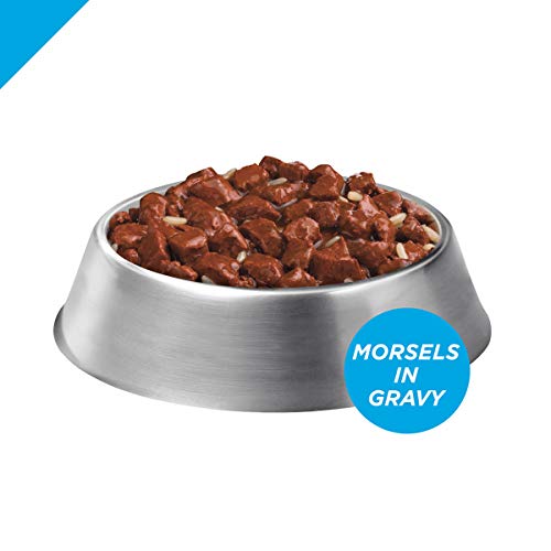 Purina Pro Plan Senior Gravy Wet Dog Food, FOCUS Morsels in Gravy...