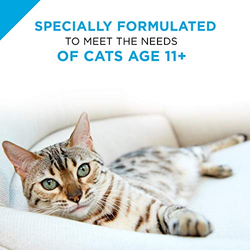 Purina Pro Plan Senior Pate Wet Cat Food, FOCUS Salmon & Tuna Ent...