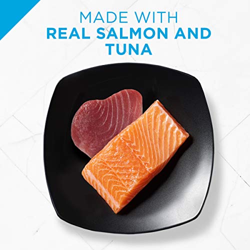 Purina Pro Plan Senior Pate Wet Cat Food, FOCUS Salmon & Tuna Ent...