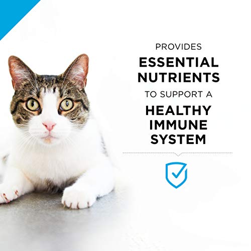 Purina Pro Plan Senior Pate Wet Cat Food, FOCUS Salmon & Tuna Ent...