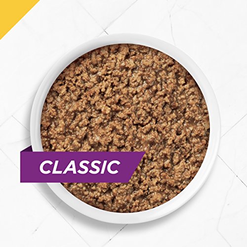 Purina Pro Plan Senior Pate Wet Cat Food, PRIME PLUS Chicken & Be...