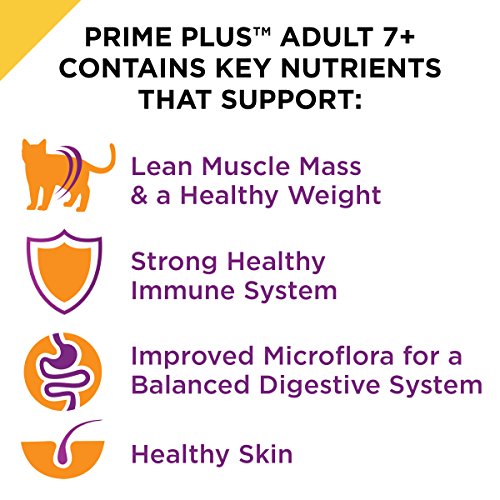 Purina Pro Plan Senior Pate Wet Cat Food, PRIME PLUS Chicken & Be...