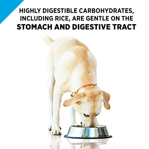 Purina Pro Plan Sensitive Stomach Pate Wet Dog Food, FOCUS Sensit...