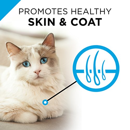 Purina Pro Plan Sensitive Stomach Wet Cat Food, FOCUS Sensitive S...