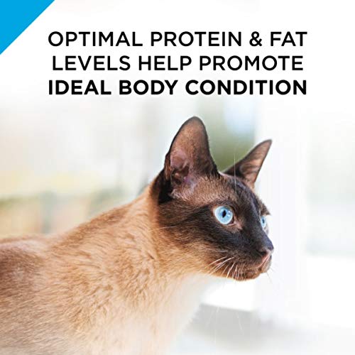 Purina Pro Plan Urinary Tract Health Gravy Wet Cat Food, FOCUS Ur...