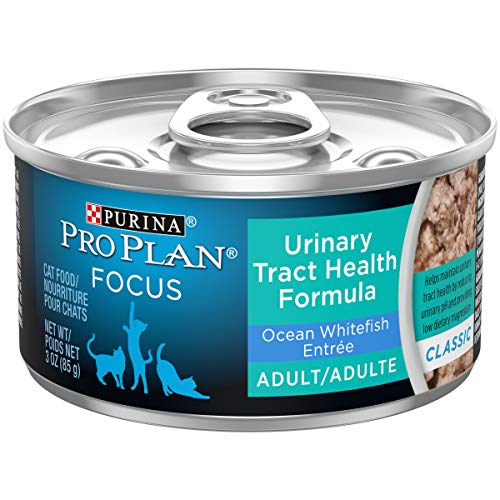 Purina Pro Plan Urinary Tract Health Pate Wet Cat Food, FOCUS Uri...