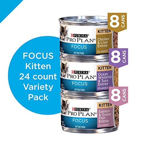 Purina Pro Plan Wet Kitten Food Variety Pack, FOCUS Kitten Favori...
