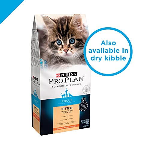 Purina Pro Plan Wet Kitten Food Variety Pack, FOCUS Kitten Favori...