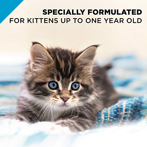 Purina Pro Plan Wet Kitten Food Variety Pack, FOCUS Kitten Favori...