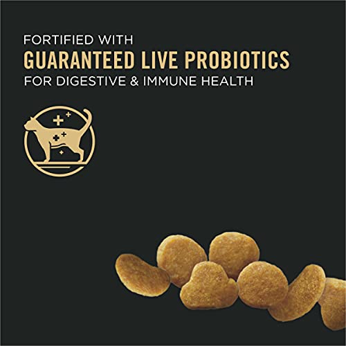 Purina Pro Plan With Probiotics, High Protein Dry Kitten Food, Ch...