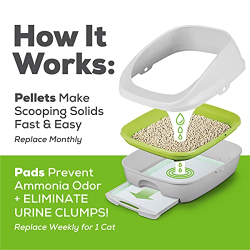 Purina Tidy Cats Breeze Cat Litter Box System Starter Kit, Breeze...
