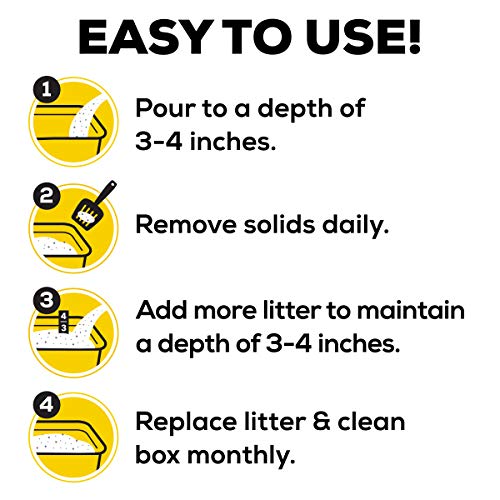Purina Tidy Cats Clumping Cat Litter, 24/7 Performance Multi Cat ...