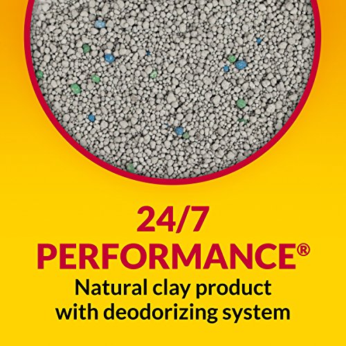 Purina Tidy Cats Low Dust Clumping Cat Litter for Litter Box Odor...