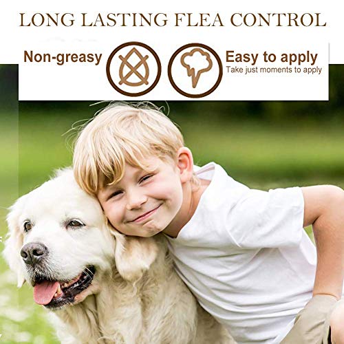 Purina Tidy Cats Clumping Litter 24/7 Performance for Multiple Ca...