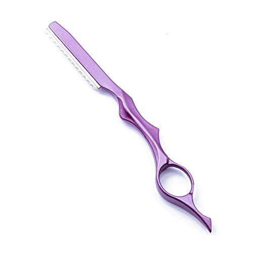 6.0 inch Purple Hair Cutting Scissors Set with Razor, Leather Sci...