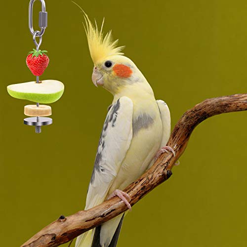 QBLEEV Bird Food Holder, Bird Feeders, Stainless Steel Parrot Fru...