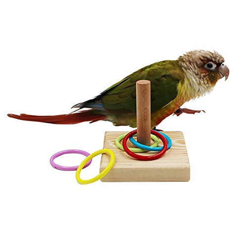 QBLEEV Bird Training Ring Toy, Parrot Trick Tabletop Toys, Bird E...