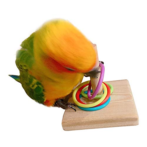 QBLEEV Bird Training Ring Toy, Parrot Trick Tabletop Toys, Bird E...