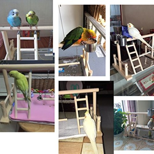 QBLEEV Birds Stand Playground Climb Wooden Perches Bird Stand1...
