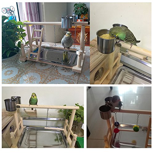 QBLEEV Birds Stand Playground Climb Wooden Perches Bird Stand1...