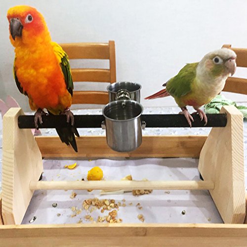 QBLEEV Parrot Play Wood Stand Bird Grinding Perch Table Platform ...
