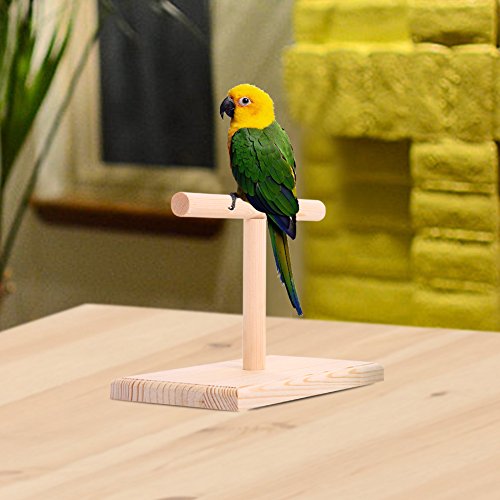 QBLEEV Portable Parrot Training Perches Birdcage Decor Weight Sca...