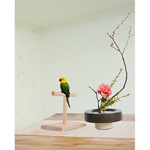 QBLEEV Portable Parrot Training Perches Birdcage Decor Weight Sca...
