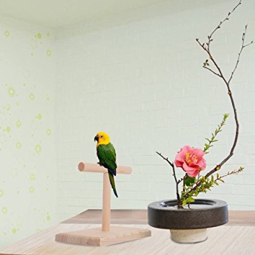 QBLEEV Portable Parrot Training Perches Birdcage Decor Weight Sca...