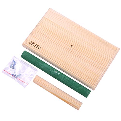 QBLEEV Small Bird Perch,Bird Play Stand,Portable Training Parrot ...