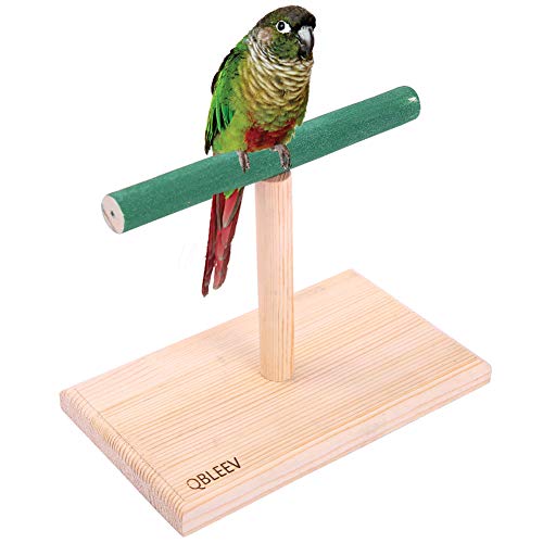 QBLEEV Small Bird Perch,Bird Play Stand,Portable Training Parrot ...