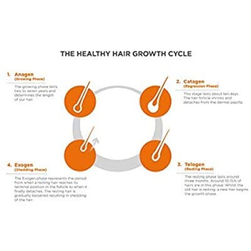 Mens Maximum Strength Hair Growth Programme Supplements 1 Month ...