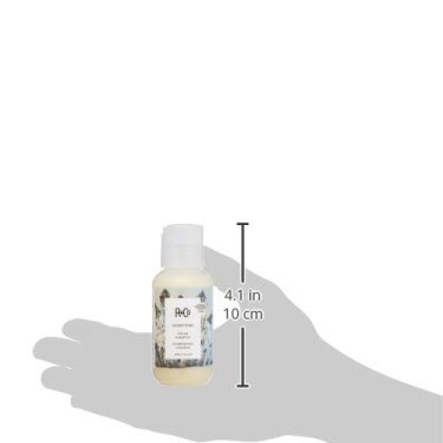 R+Co Gemstone Color Shampoo Travel, White, 2 Fl Oz